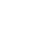 ico-p ico-p